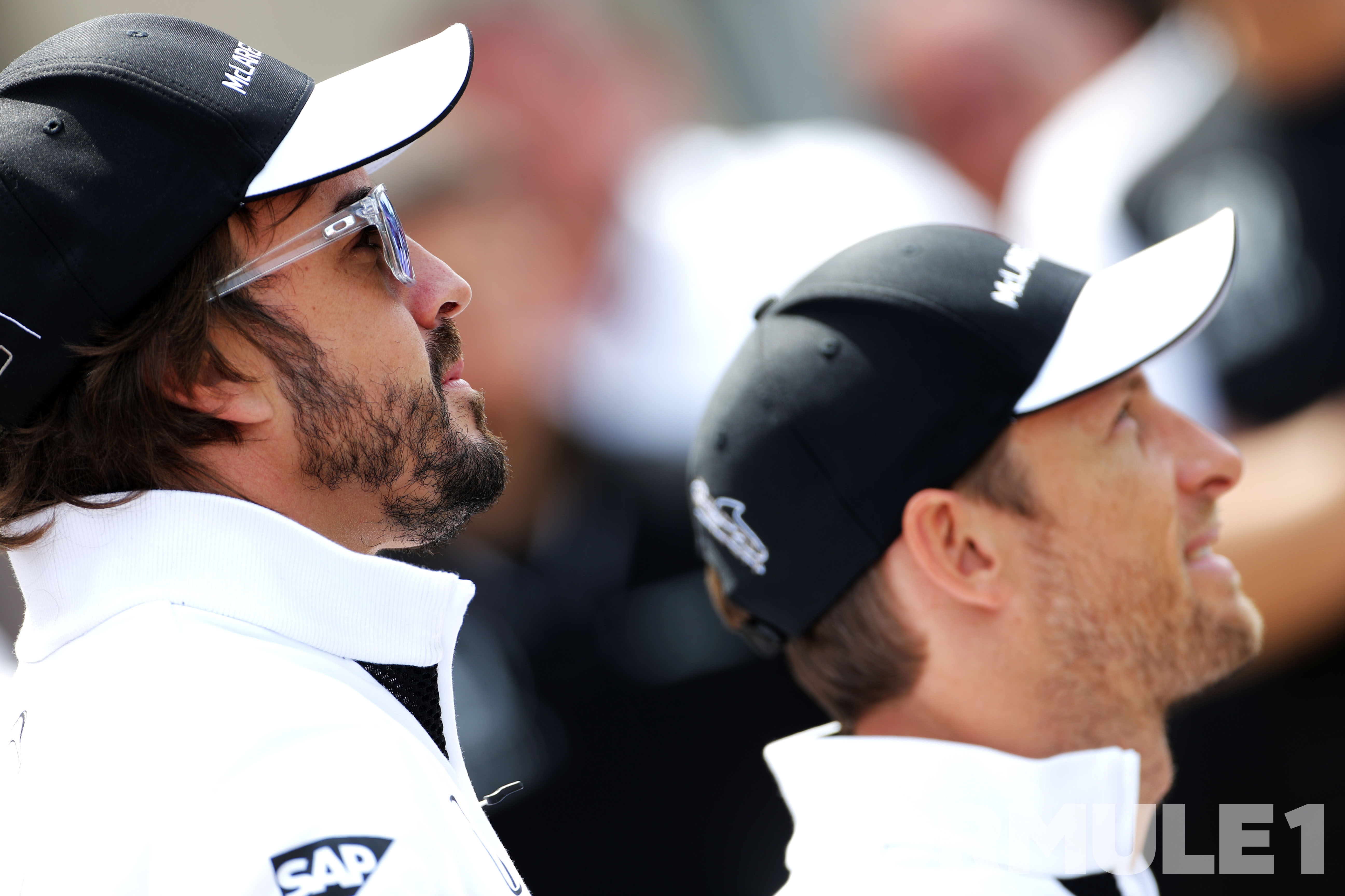 Alonso wil 2015 afschrijven, Button niet
