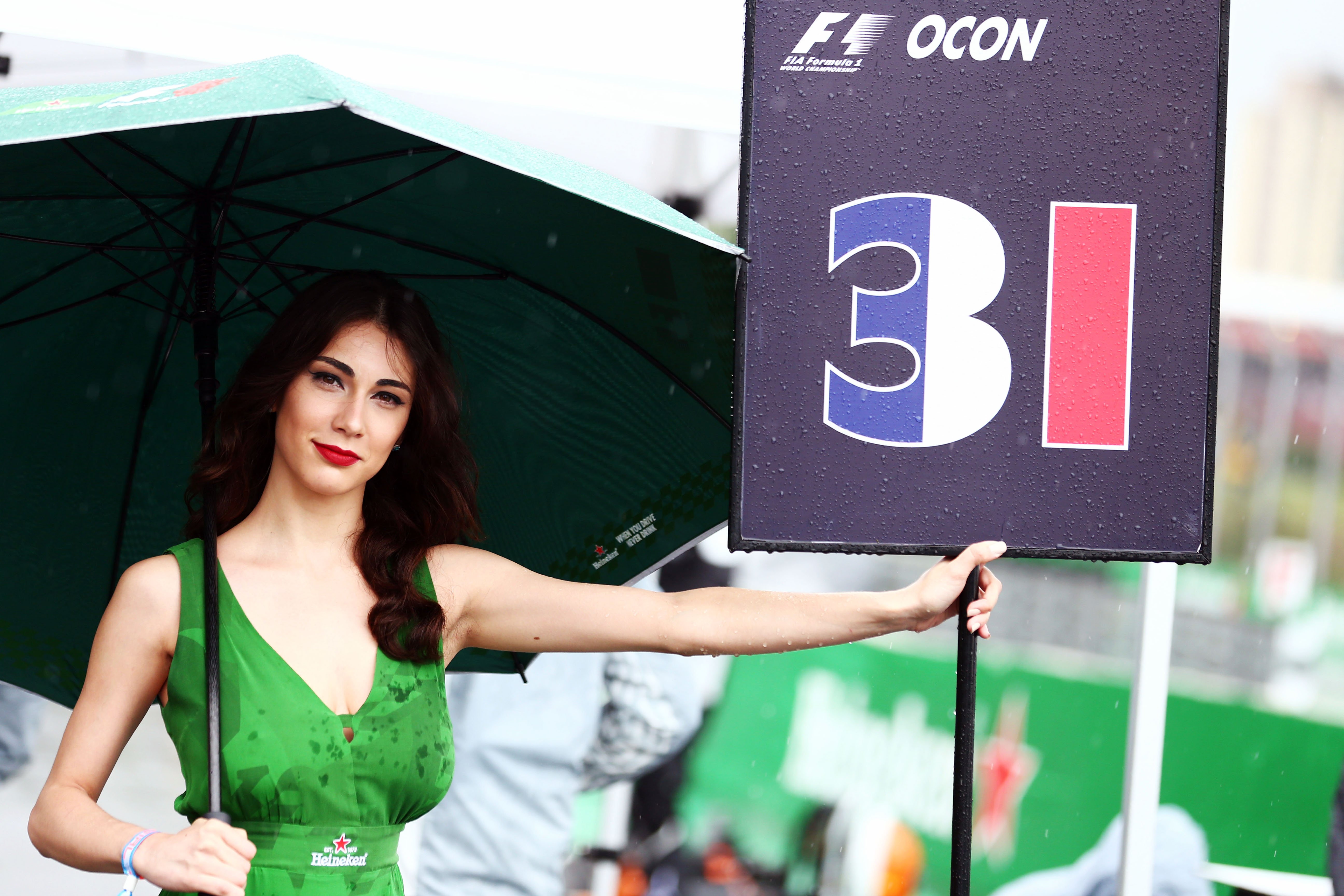 Formula One World Championship 2016, Round 20, Brazilian Grand Prix