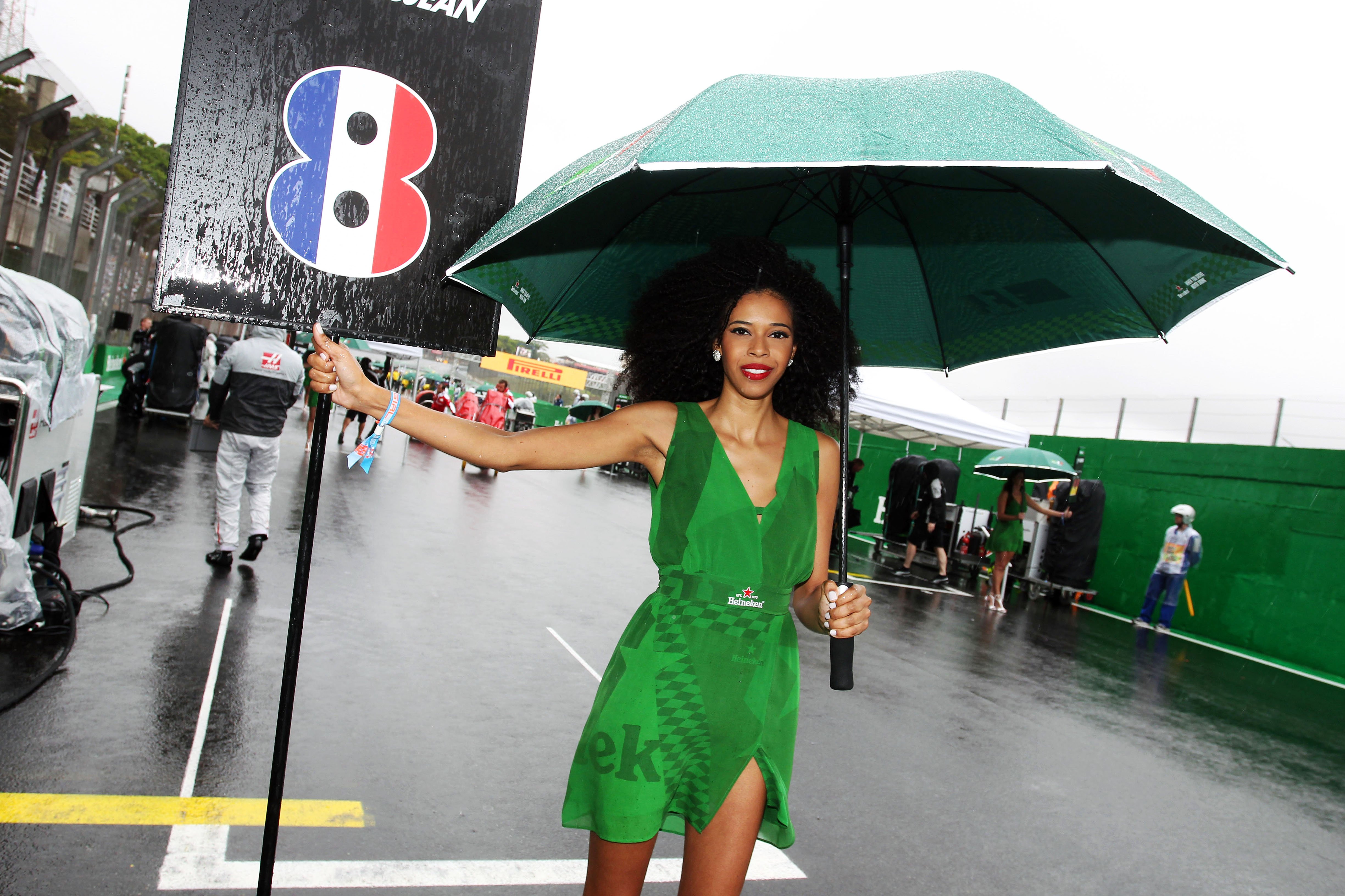 Formula One World Championship 2016, Round 20, Brazilian Grand Prix