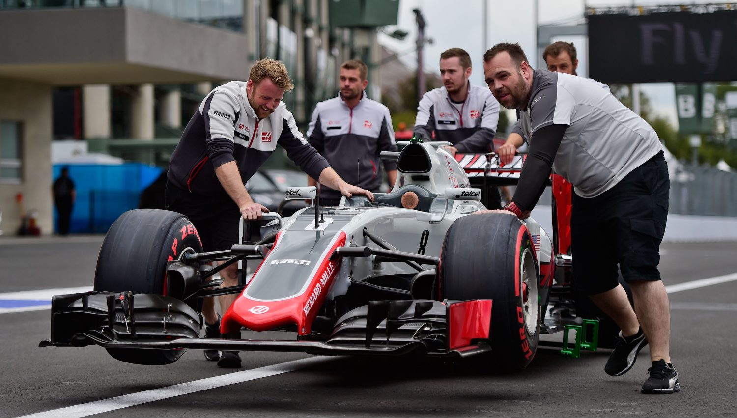 Haas hoopt versterking binnen te halen