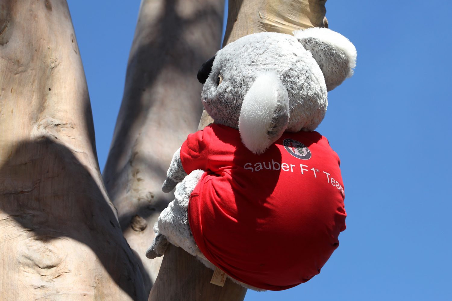 Australian Grand Prix Preparations