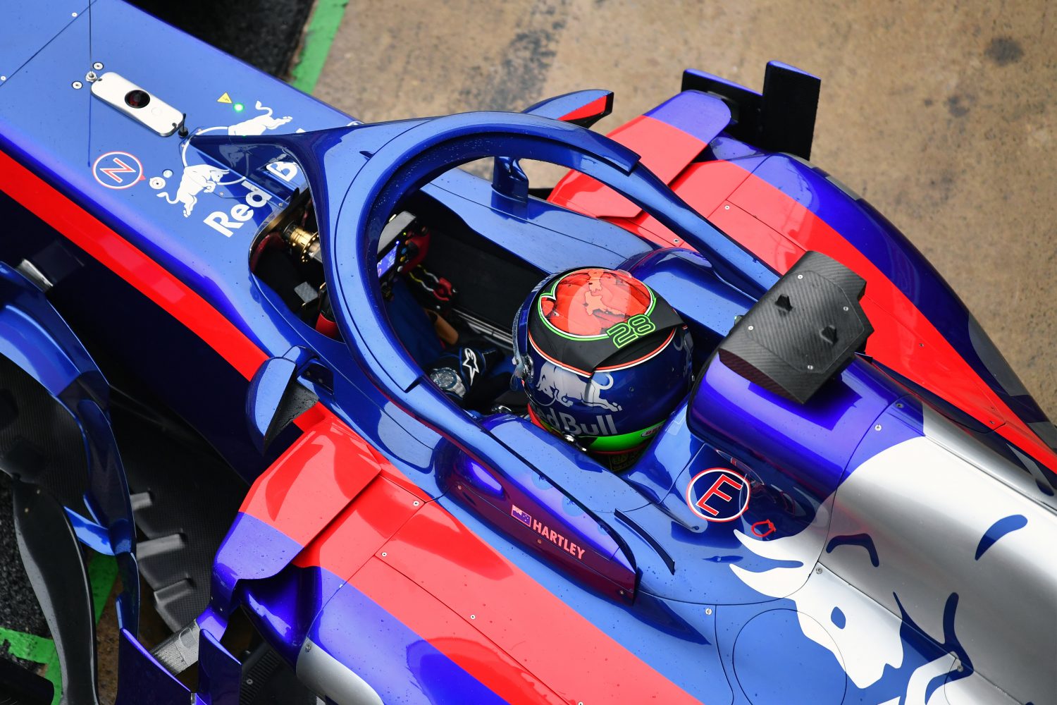 Hartley: ‘Wil nu bewijzen dat ik in de Formule 1 hoor’