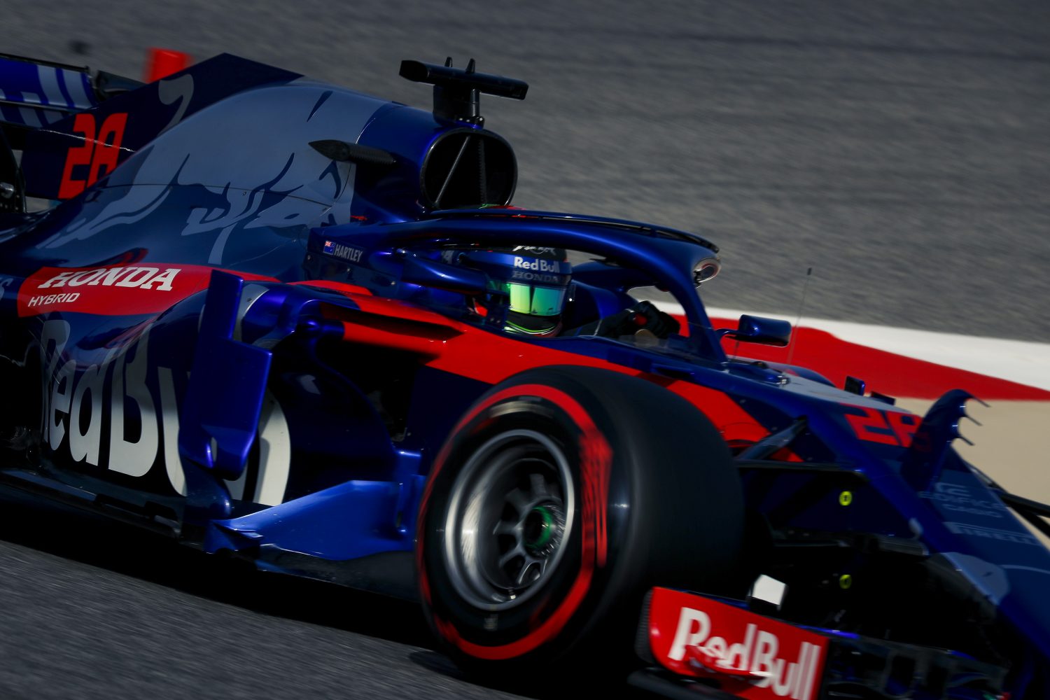 Toro Rosso: ‘LMP1-ervaring Hartley van meerwaarde in hybride-tijdperk’