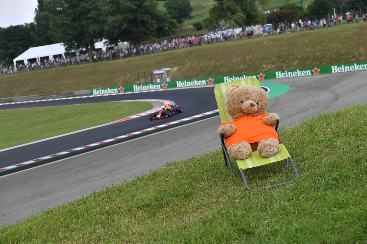 Hungarian Grand Prix Practice