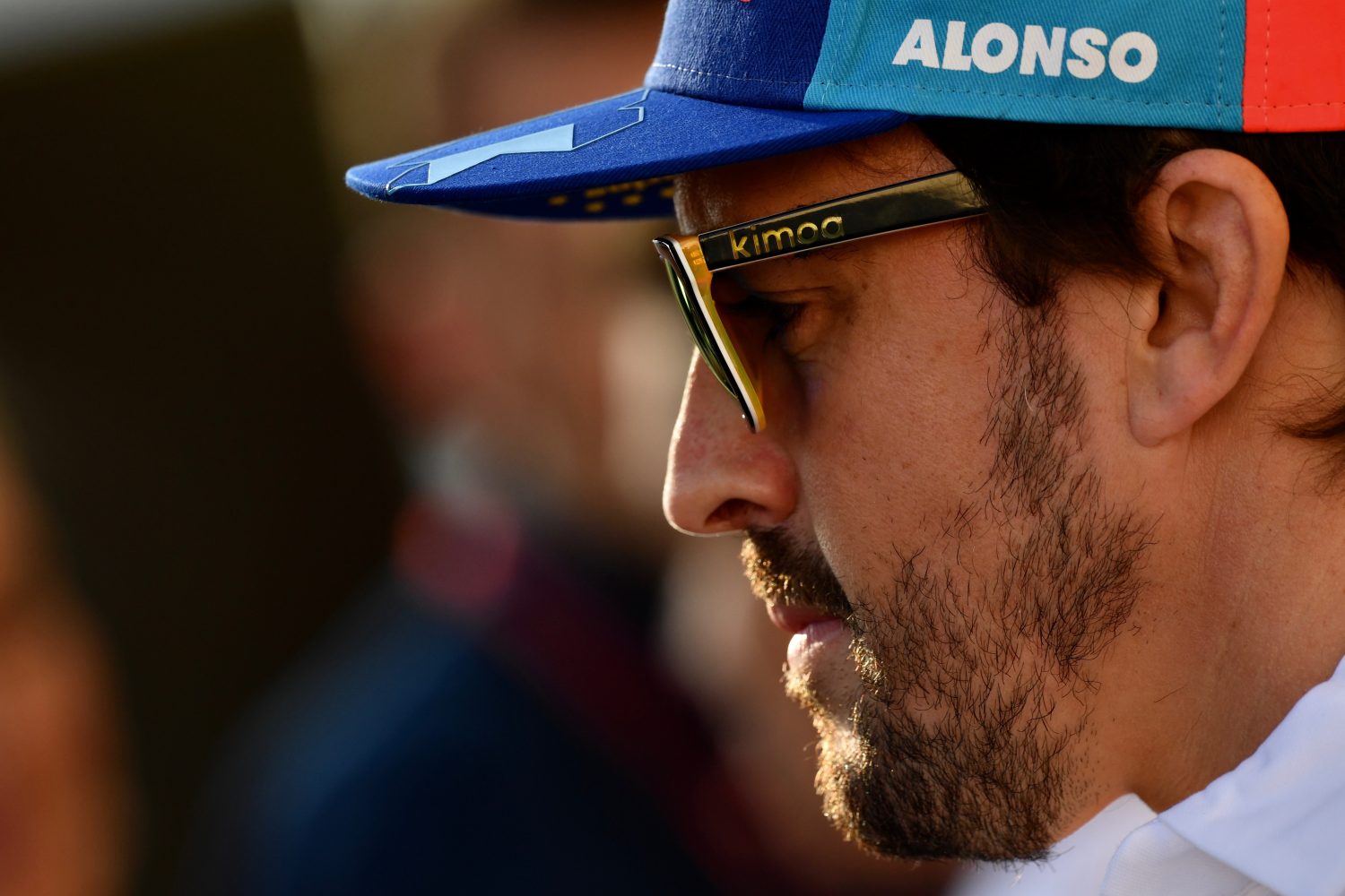 Alonso in 2019 met Nederlander Van der Zande in Daytona 24 uur