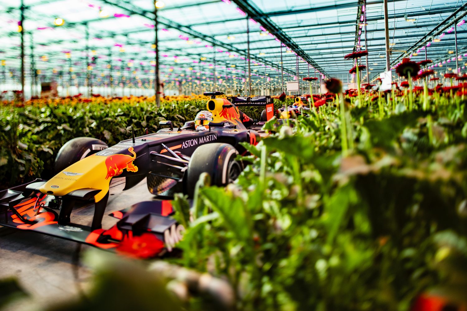 Video: Geen Dutch GP? Verstappen en Albon doen een rondje Nederland!