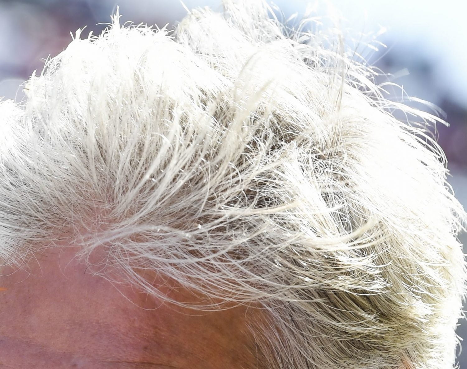 Van wie is dit pruikje haar? (En alle andere antwoorden van de F1 Foto Quiz)