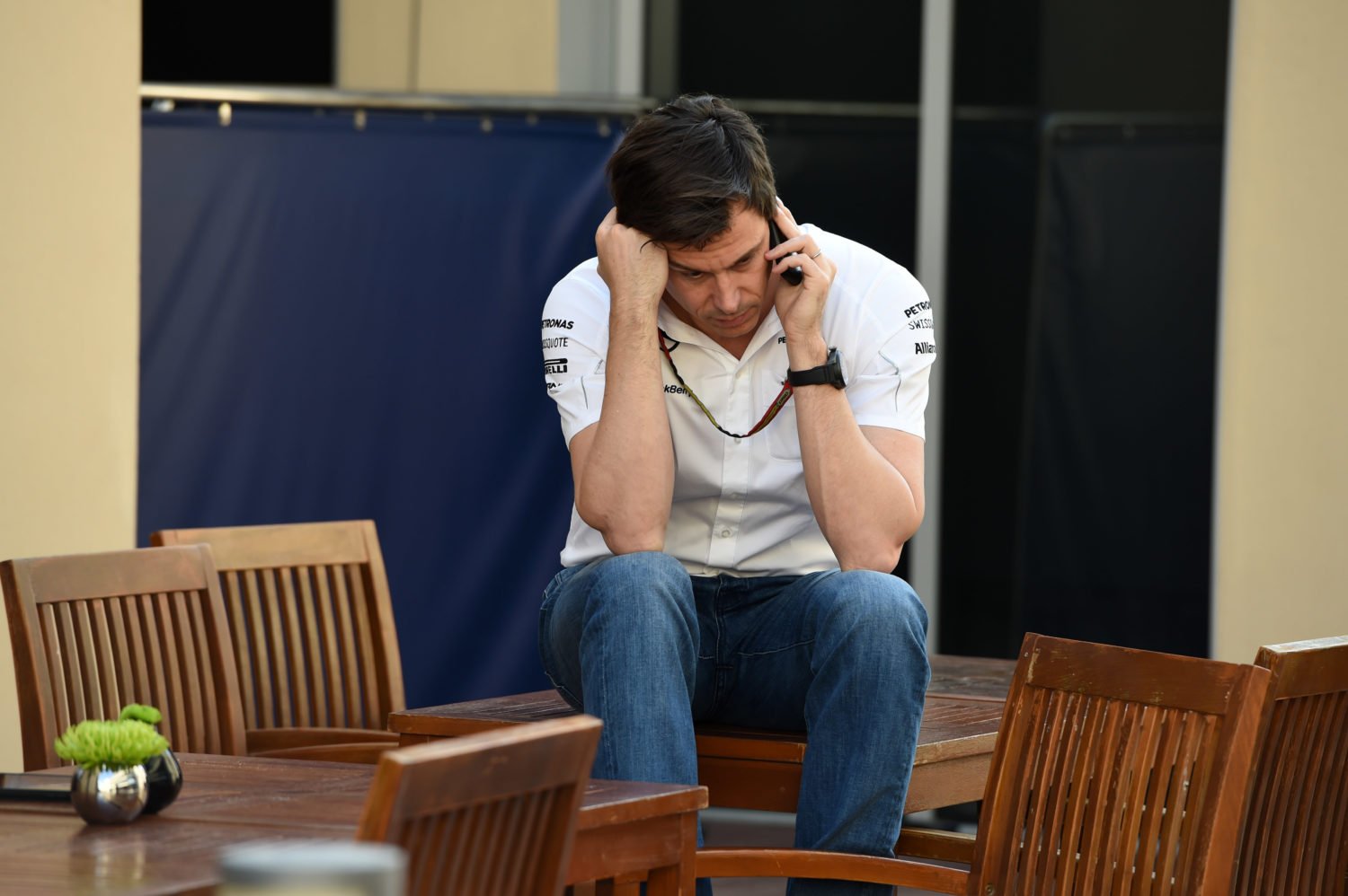 Wolff Verstappen