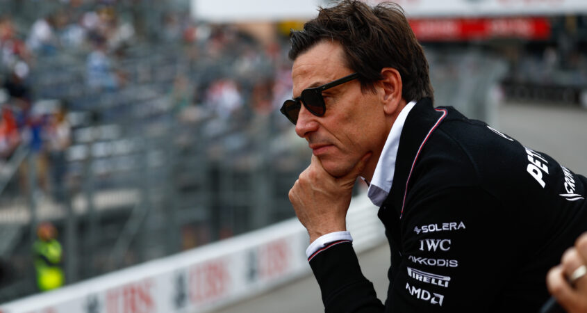 Wolff ego