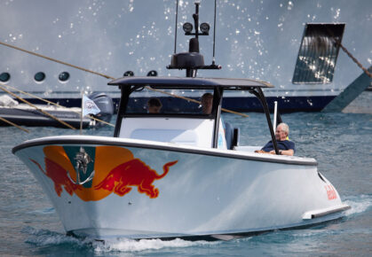 helmut marko