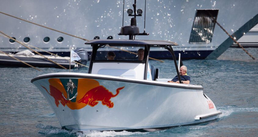 helmut marko