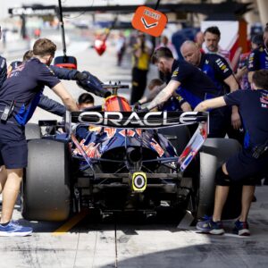 Wolf Verstappen Red Bull