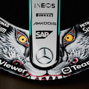 Mercedes livery