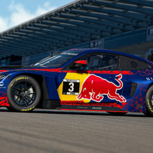 Verstappen Sim Racing