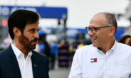 Domenicali V8