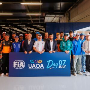 FIA Formule 1 online misbruik