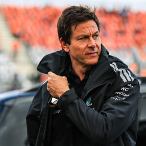Wolff Mercedes